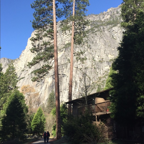 Meet your Posher, Mandy - Picture 1 of 1